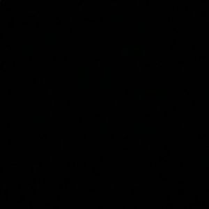 Meet your Posher, Ricky